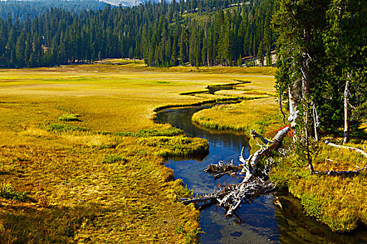 河流,草地,拉森火山国家公园,加利福尼亚,美国