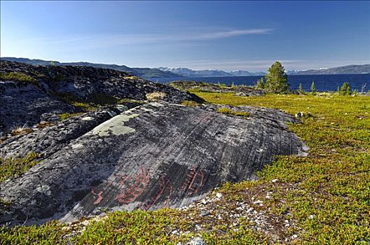 岩刻,阿尔泰,挪威北部,挪威