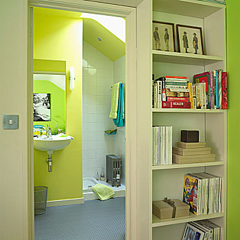书架,靠近,敞门,浴室,黄色,墙,亮光,灰色,橡胶,地面