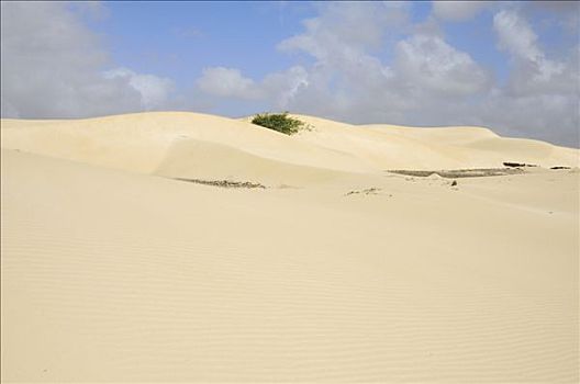 沙漠,岛屿,佛得角共和国,非洲