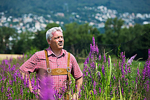一个,男人,站立,地点,花,紫花,洛迦诺,瑞士,提契诺河