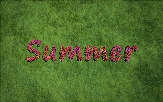 夏天,文字,花,草,背景