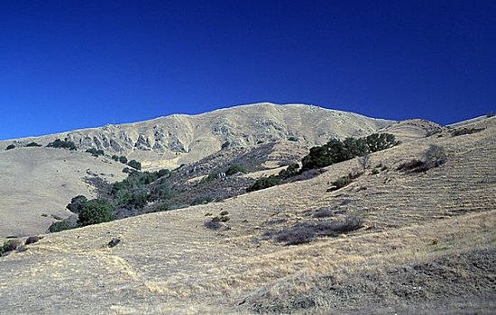 仰视,山,顶峰,圣克拉拉,山谷,加利福尼亚,美国
