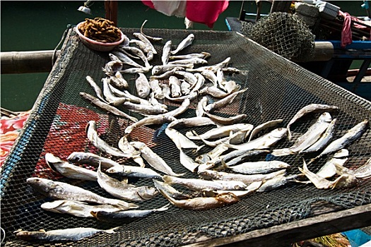 鱼,干燥,小,乡村,苏梅岛