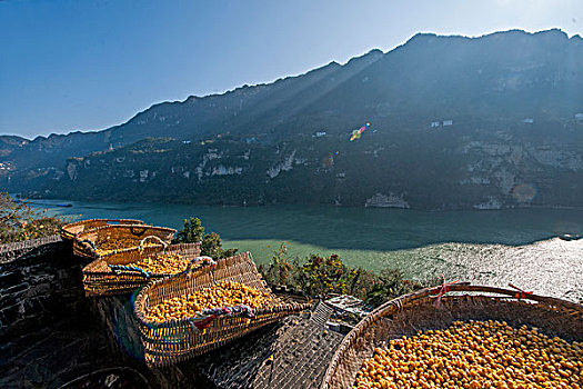 湖北夷陵长江三峡灯影峡里的,三峡人家,巴王山寨酒作坊