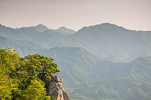 起伏连绵的山峰