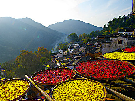 风景