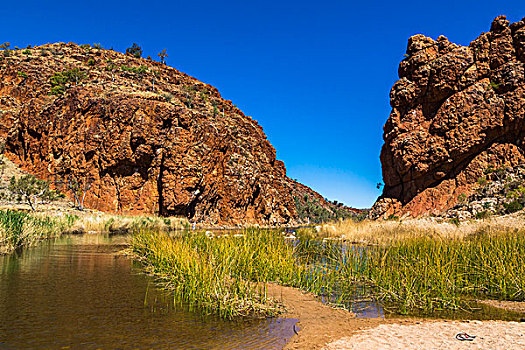 峡谷,西部,国家公园,北领地州,澳大利亚