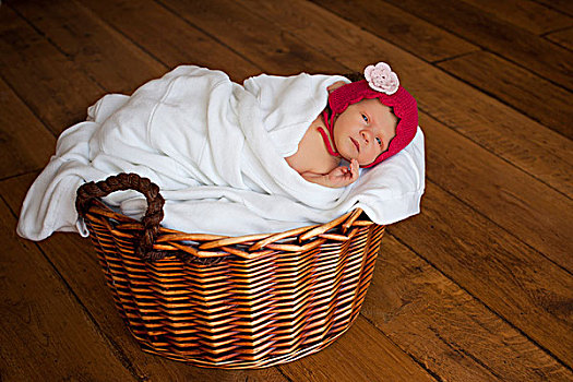 婴儿,女孩,两个,老,小,红色,帽,卧,篮子