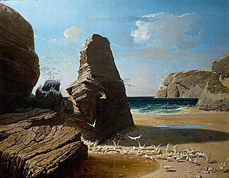 小,海鸥,1858年
