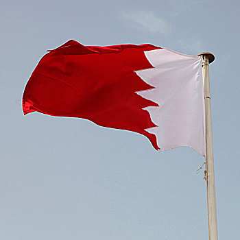 国旗,海湾,合作,巴林