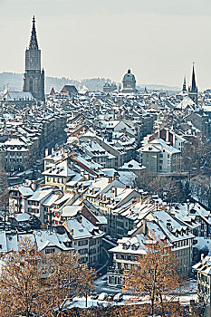 俯拍,城市,天际线,积雪,屋顶,伯尔尼,瑞士