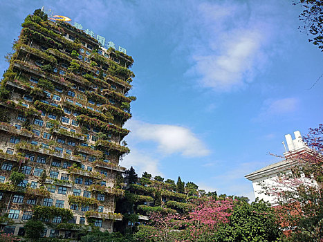 配图,碧桂园是绿色,生态,智慧城市的建造者和运营商