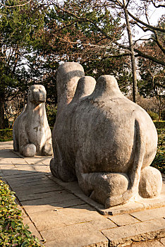 南京明孝陵石象路景区石骆驼雕塑