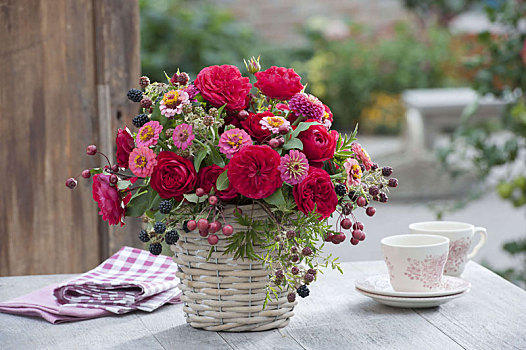 红色,花束,粉色,玫瑰,黑莓,悬钩子属植物,百日菊
