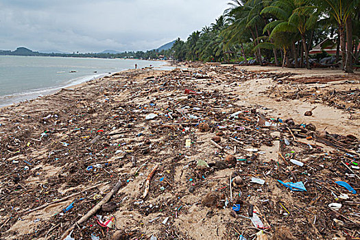 苏梅岛,泰国,四月,毁坏,海滩,洪水
