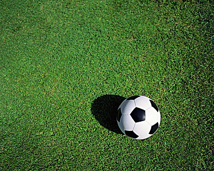 草地,球,俯视,皮球,黑白,绿色,运动,团队运动,团队,比赛,球类运动,草坪,足球赛,休闲,爱好,赛场,足球场,安静