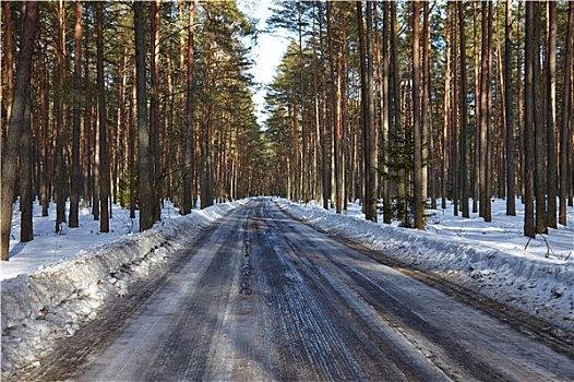 冬天,道路