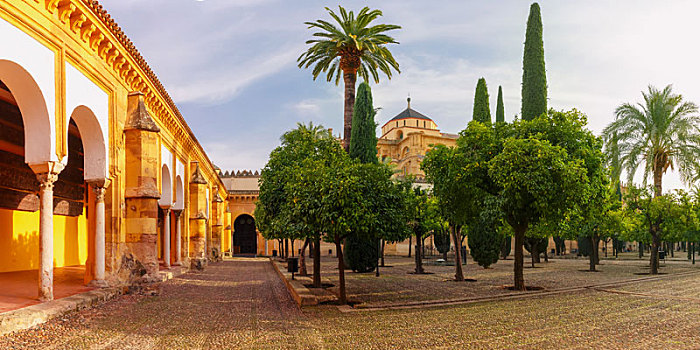院落,大清真寺,科多巴,西班牙