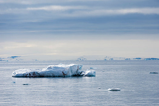 冰山,靠近,海岸线,斯瓦尔巴特群岛,挪威