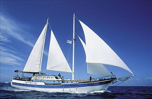 马尔代夫,海洋,帆船
