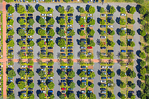 停放,哈姆,地区性,落叶树,彩色,图案,绿色,树,停车,鲁尔区,北莱茵威斯特伐利亚,德国