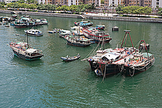 航拍,渔船,蔽护,香港