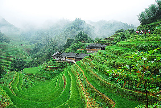 大山里的田园春色