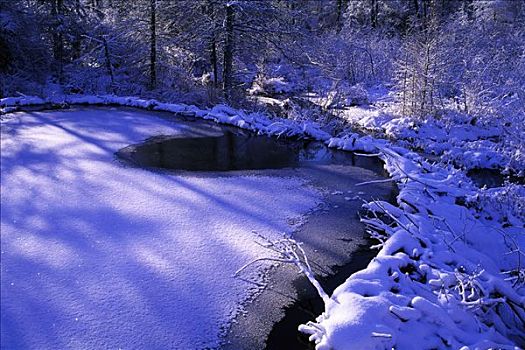 水塘,冬天,阿尔冈金省立公园,安大略省,加拿大
