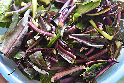 江苏仪征,紫菜舌尖上的美食