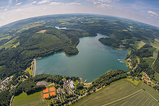 湖,靠近,藻厄兰,北莱茵威斯特伐利亚,德国,欧洲