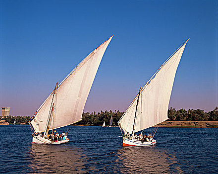 埃及,阿斯旺,尼罗河,三桅小帆船,航行