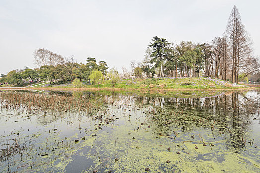 中国,江苏南京,玄武湖公园,湖泊,建筑