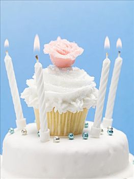 生日蛋糕,装饰,杏仁糖玫瑰花,蜡烛