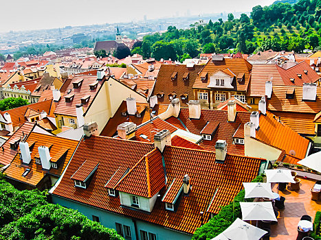 俯视,砖瓦,屋顶,老城,布拉格,捷克共和国