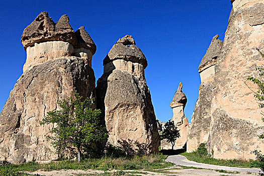仙人烟囱岩,石头,石灰华,山谷,卡帕多西亚,中安那托利亚,土耳其