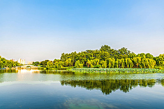 武汉月湖自然风光