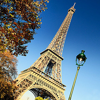 著名,埃菲尔铁塔,树,巴黎