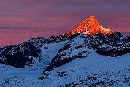 雪,红色,黎明,发光,戈尔内格拉特,策马特峰,瓦莱州,瑞士,欧洲