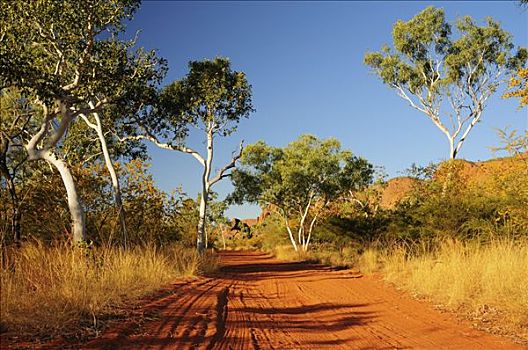 道路,波奴鲁鲁国家公园,金伯利,西澳大利亚,澳大利亚