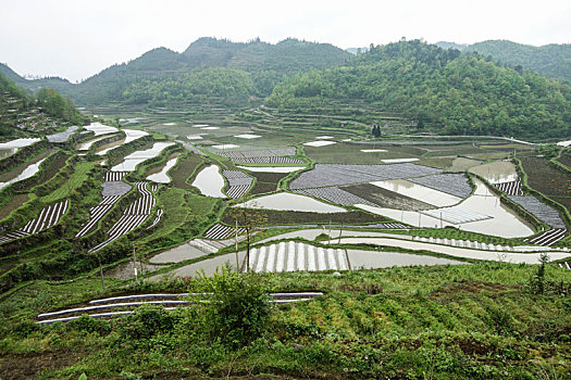 田地