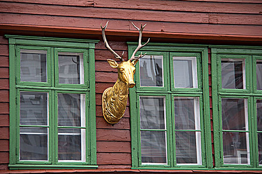 挪威,卑尔根,建筑,鹿,世界遗产