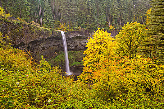 俄勒冈,美国,南,银,瀑布,秋天,银色瀑布州立公园