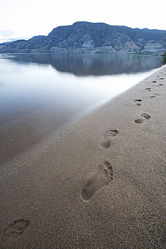 脚印,海滩,湖,潘提顿,不列颠哥伦比亚省