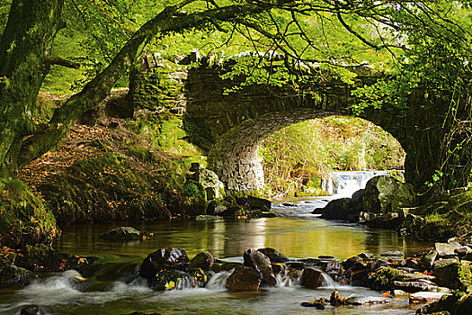 英格兰,萨默塞特,美景,强盗,桥,山谷,19世纪,小说