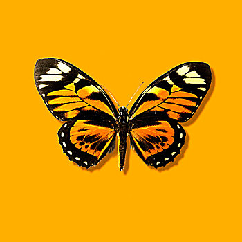 http://www.qunran.cn/html/7e4399949.html