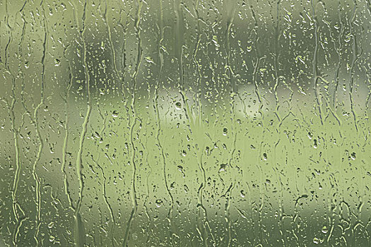 窗户,花园,雨滴,绿色