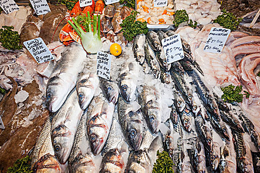 英格兰,伦敦,南华克,博罗市场,鱼肉,货摊,展示,鲜鱼