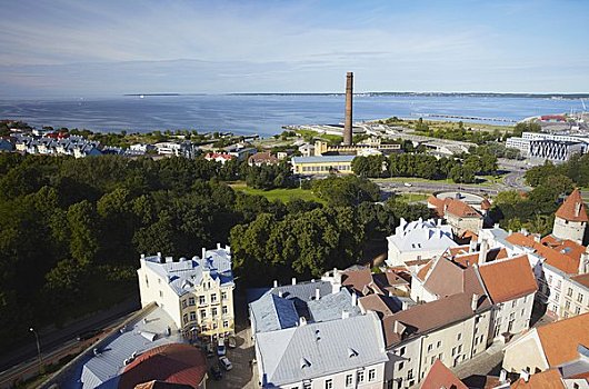 爱沙尼亚,塔林,城镇,港口,背景
