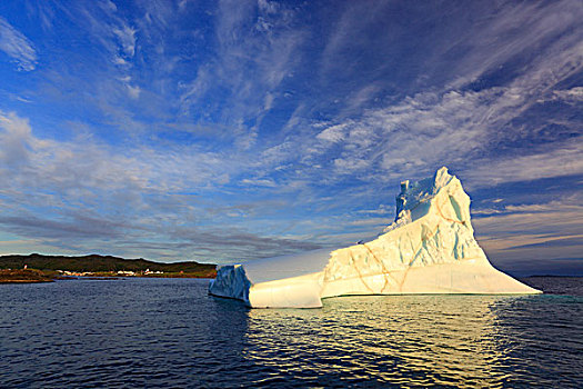 冰山,鹅,小湾,纽芬兰,加拿大